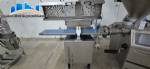 Industrial plant/refrigeration processing plant for deboning and processing meats and sausages.