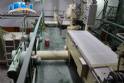 Pavan dry dough production line 400 kg per hour